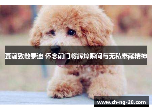 赛前致敬泰迪 怀念前门将辉煌瞬间与无私奉献精神