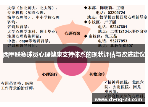 西甲联赛球员心理健康支持体系的现状评估与改进建议 西甲联赛球员心理健康支持体系的现状评估与改进建议